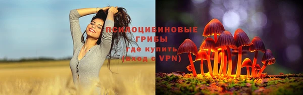 каннабис Белокуриха