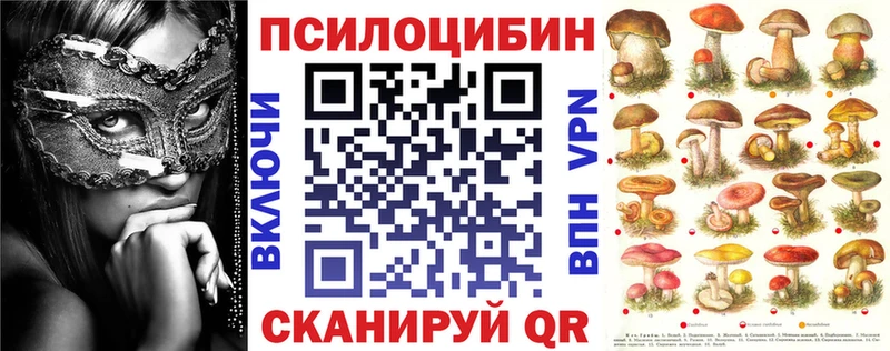 Псилоцибиновые грибы Magic Shrooms  Купить закладки  Мензелинск 