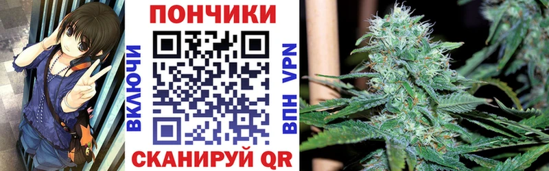 Купить  Мензелинск  Канабис планчик 